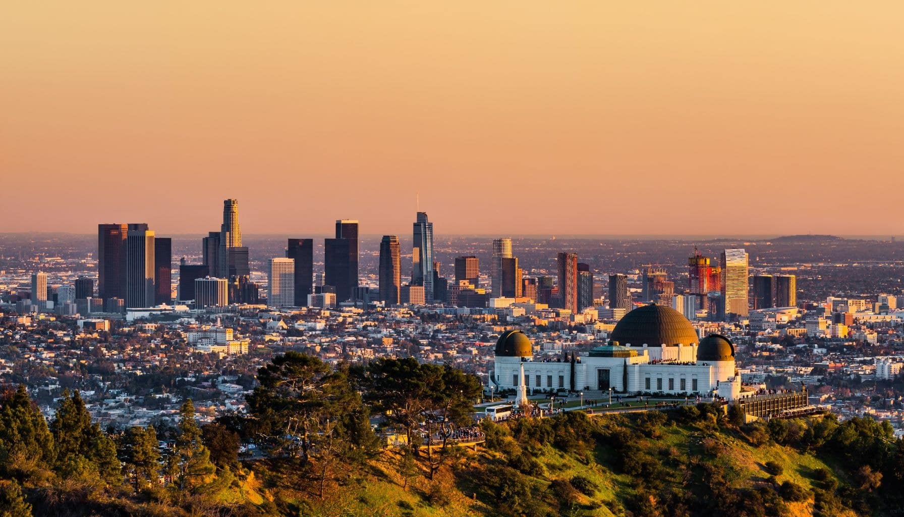 City of Los Angeles, Skyline