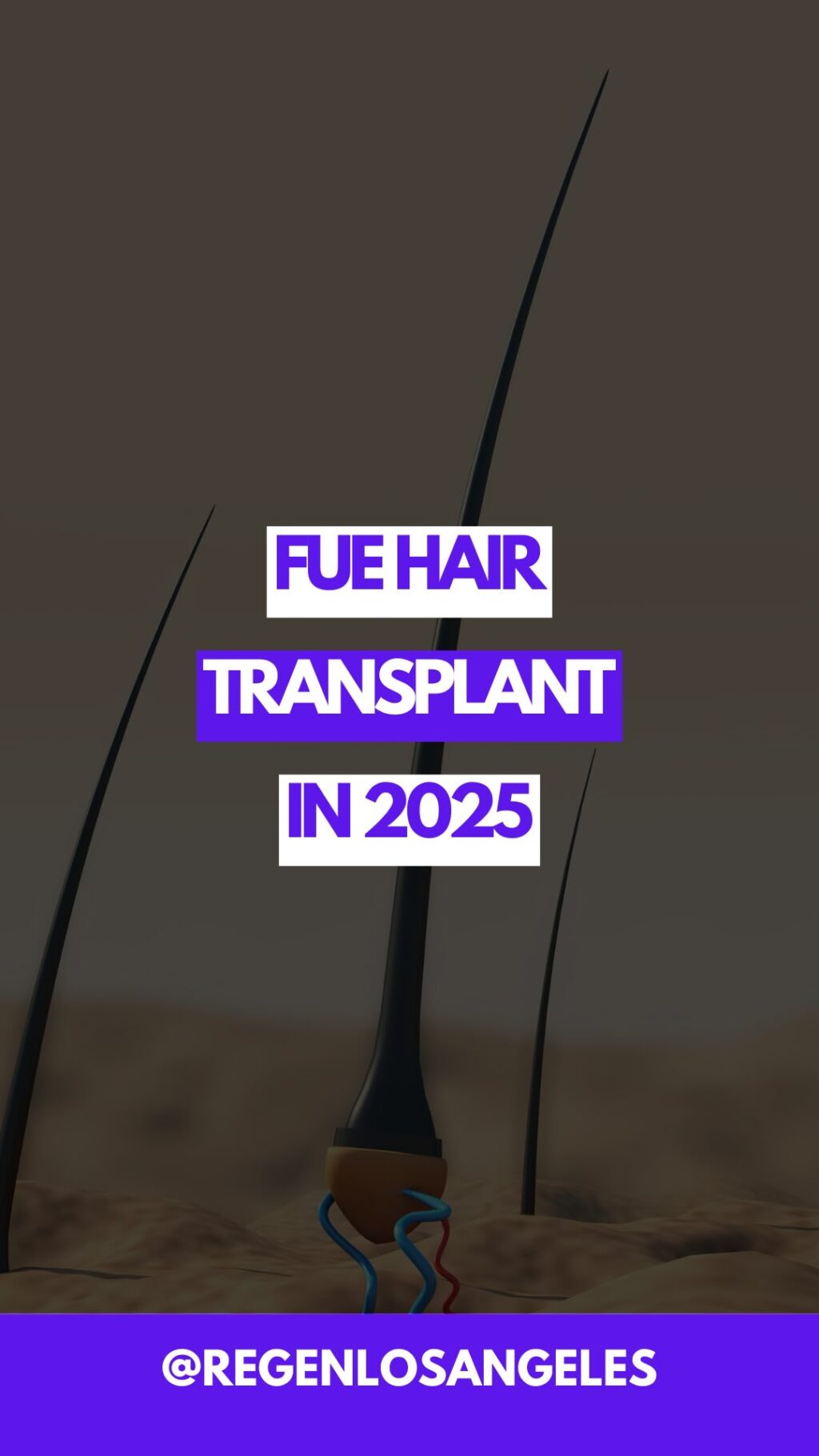 Instagram post from regenlosangeles. This post is in position 4.